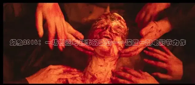 红桃视频免费入口